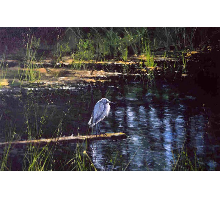 0404 The Egret