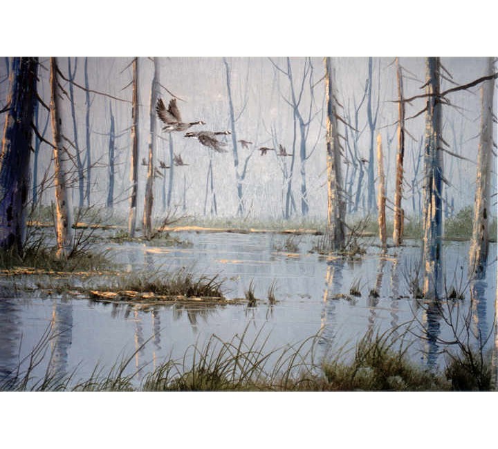 3333 Geese Pond 3333 Geese Pond