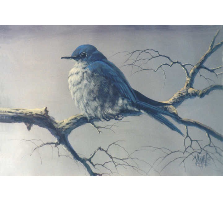 8807 Bluebird 8807 Bluebird