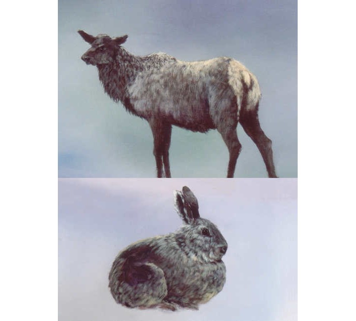 8808 Painting Animals 8808 Painting Animals