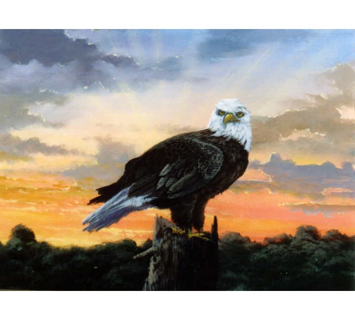 8812 Eagle at Sunset 8812 Eagle at Sunset