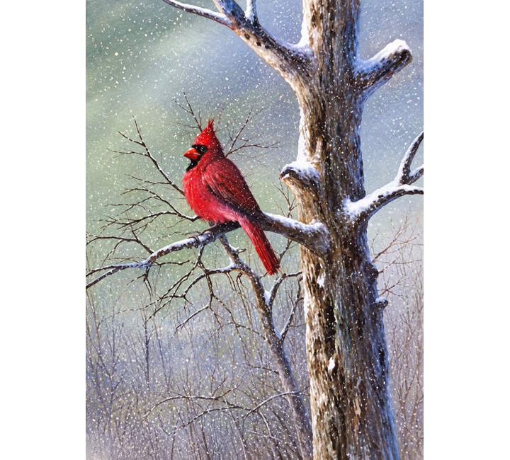 8821 Cardinal 8821 Cardinal