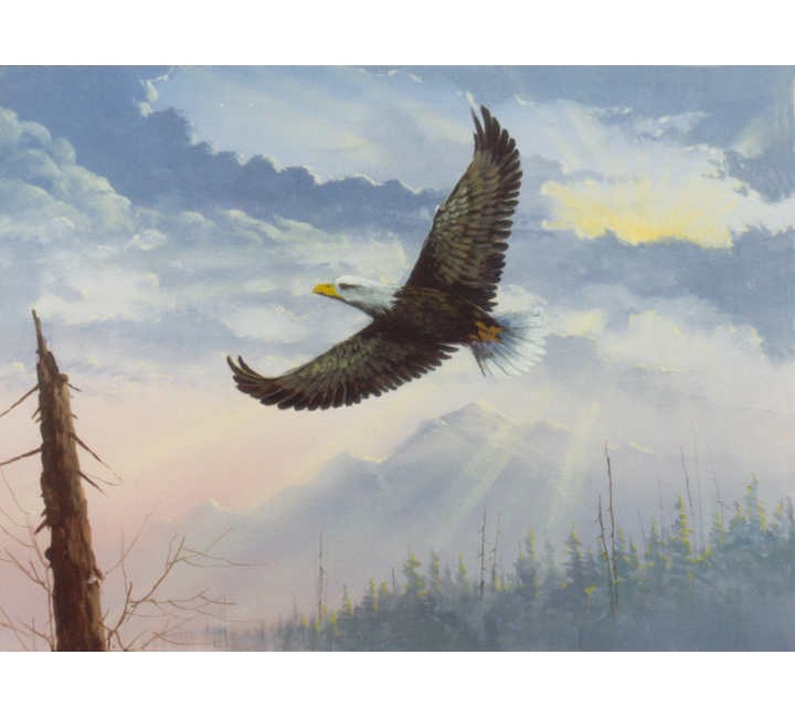 8848 Flying Eagle 8848 Flying Eagle