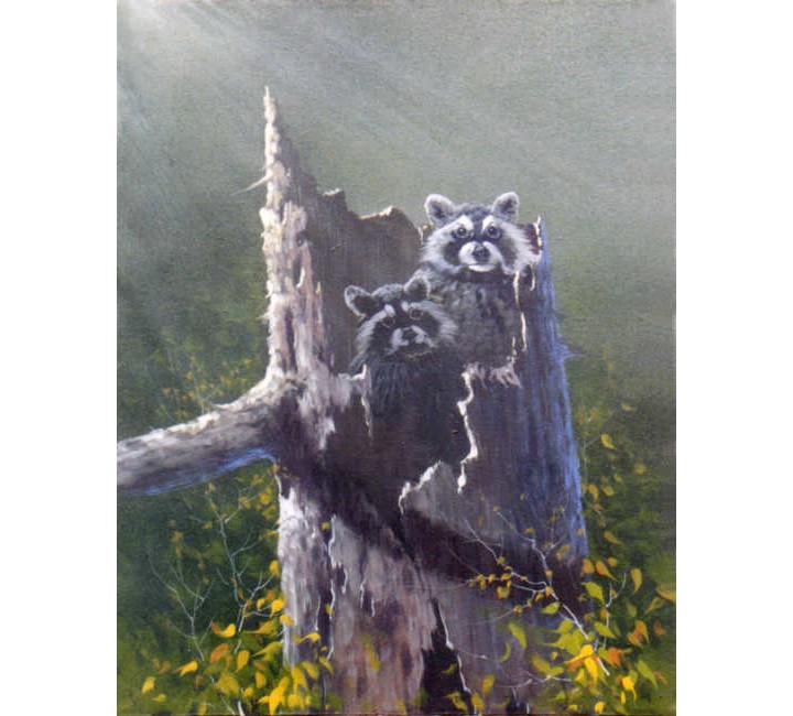 8854 Raccoons in Stump 8854 Raccoons in Stump