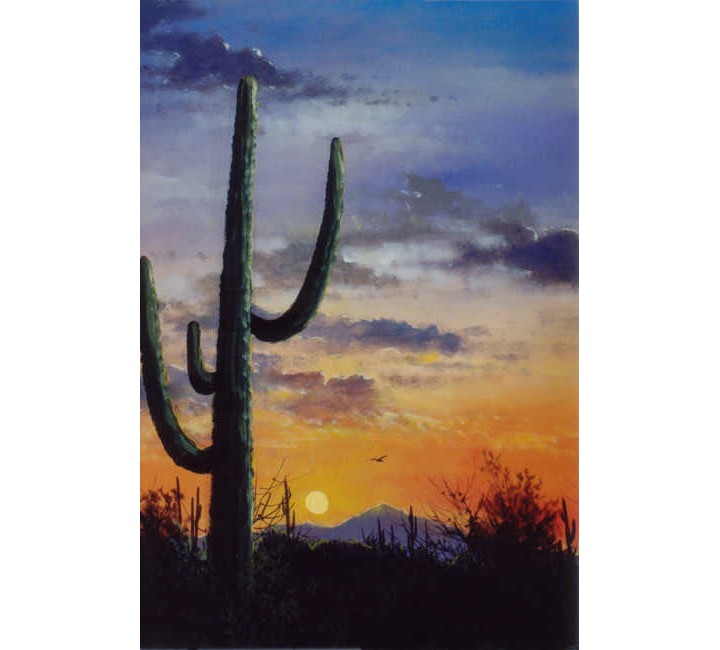 8856 Desert Sunset 8856 Desert Sunset