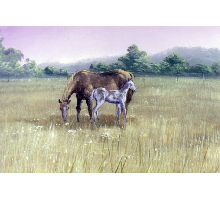 8868 Horse and Colt 8868 Horse and Colt