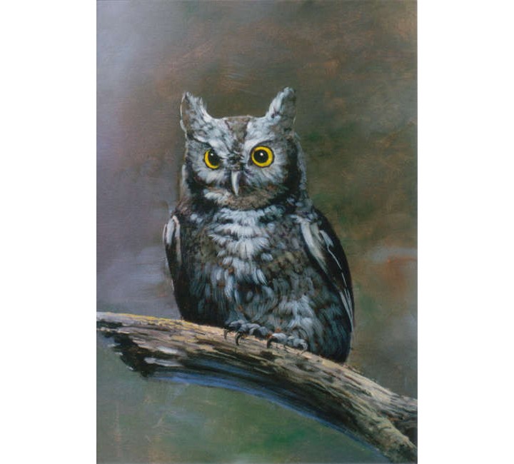 8869 The Owl 8869 The Owl