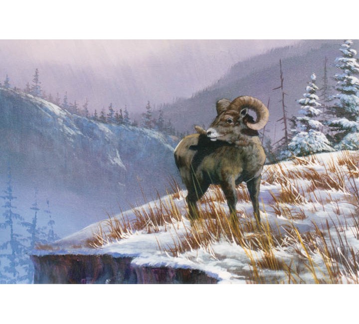 8876 Ram On Mountain 8876 Ram On Mountain