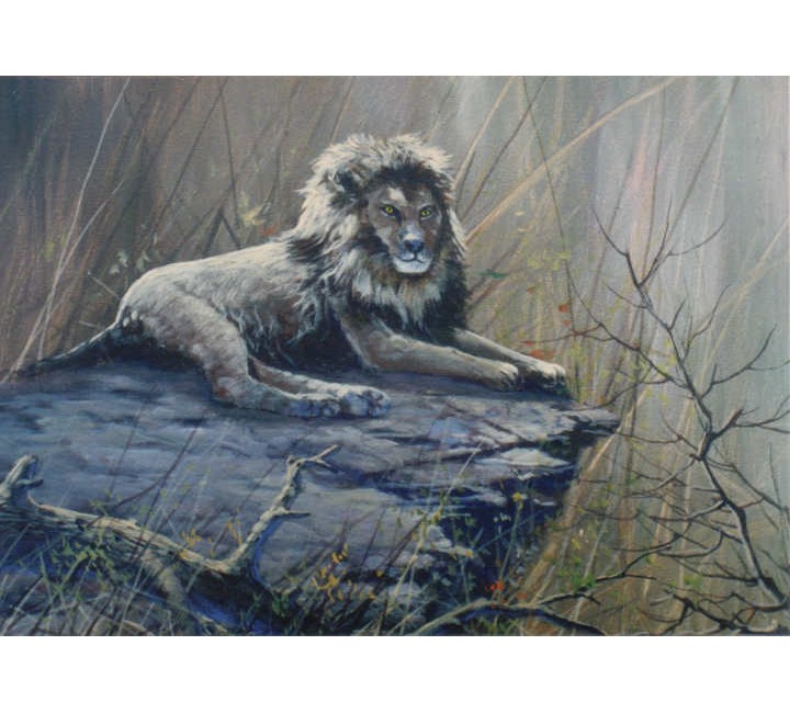 8880 Lion 8880 Lion