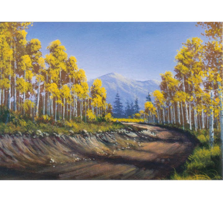 8884 Aspen Scene 8884 Aspen Scene