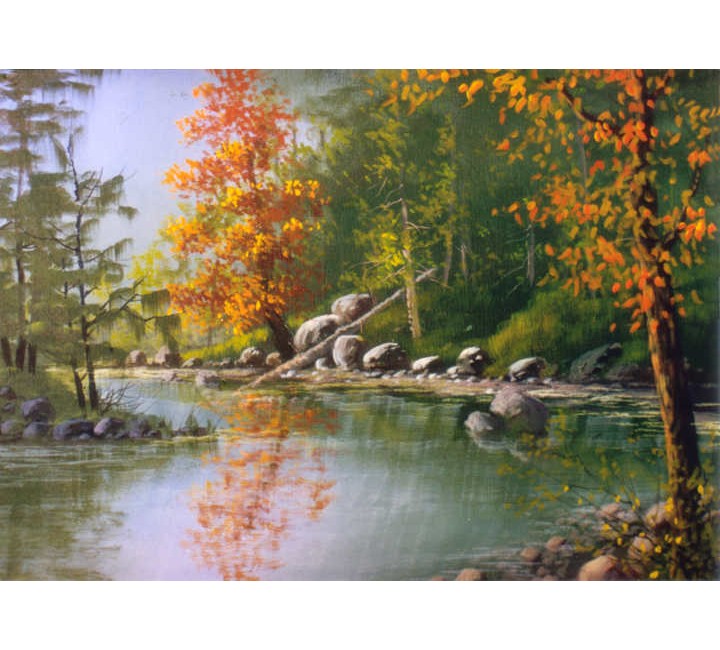8900 Fall Reflections in Brook 8900 Fall Reflections in Brook