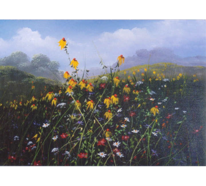 8915 Field of Flowers 8915 Field of Flowers