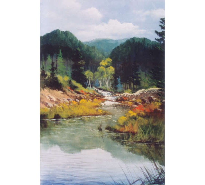 8925 Maverick Park 8925 Maverick Park