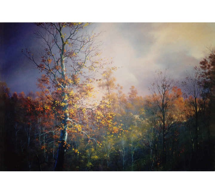 8930 Fall Aspen 8930 Fall Aspen