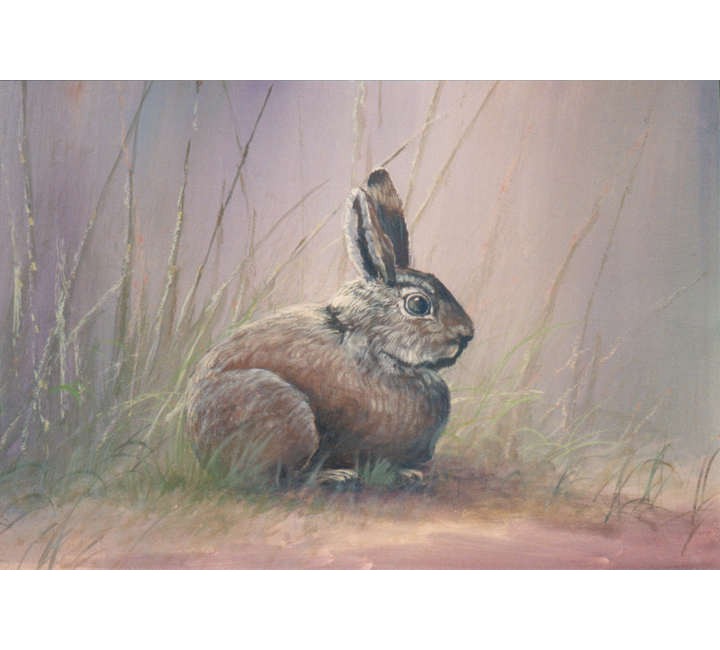 8932 Rabbit 8932 Rabbit