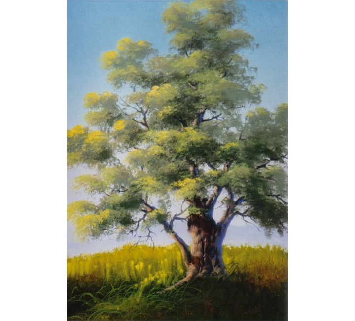 8933 Tree Techniques 8933 Tree Techniques