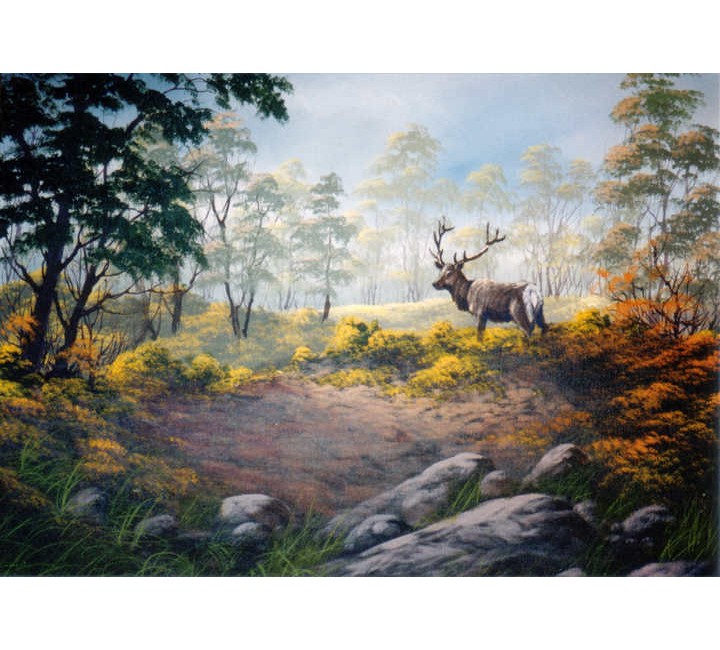8984 Elk in Forest 8984 Elk in Forest