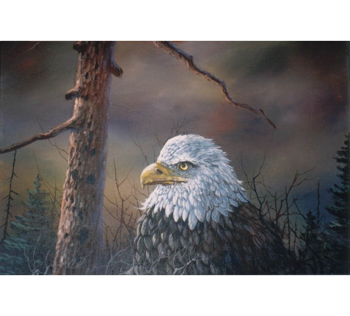 8988 Tree Crested Eagle 8988 Tree Crested Eagle
