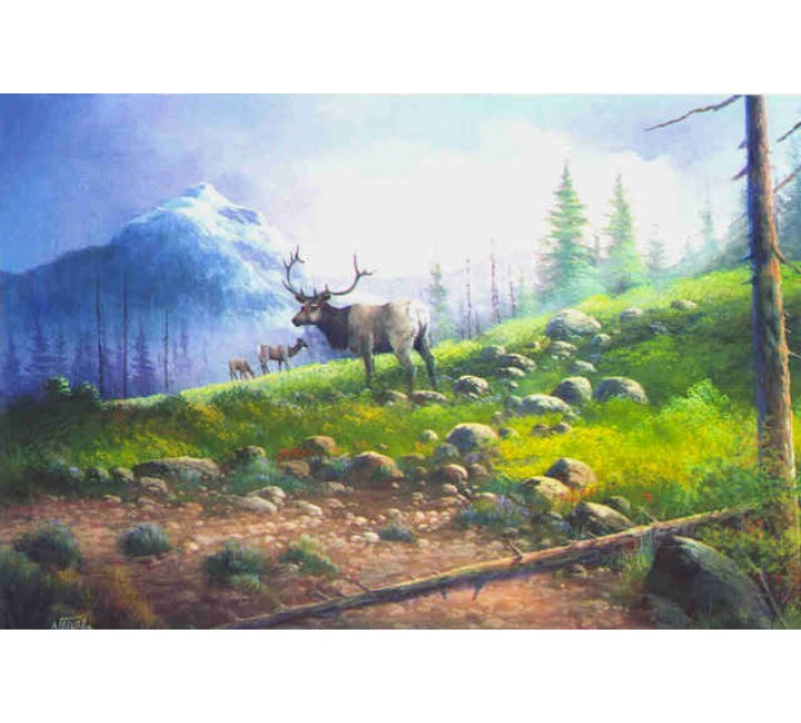 9959 High Country Elk