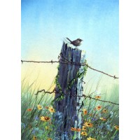 9947 Spring Song
