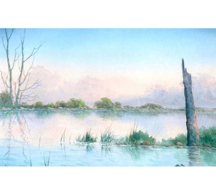 9950 Morning Reflection
