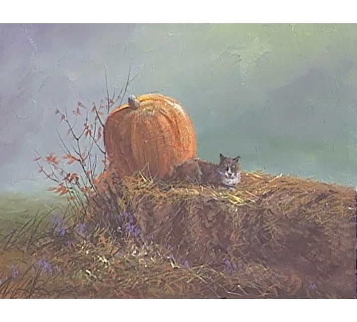 9952 Autumn Cat