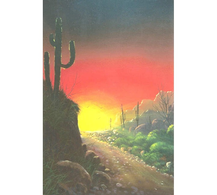 9956 Sonora Sunrise