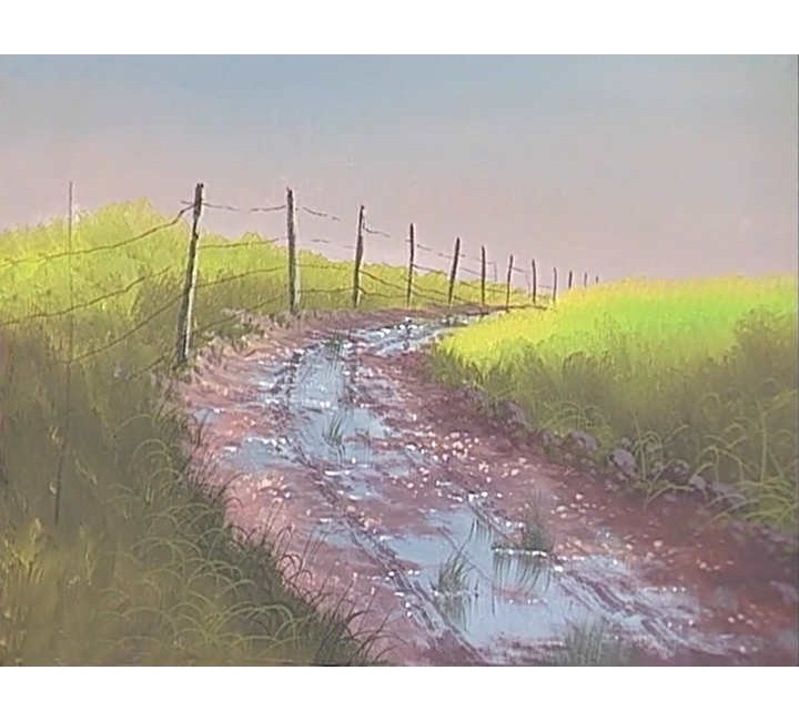 9957 Mud Puddles
