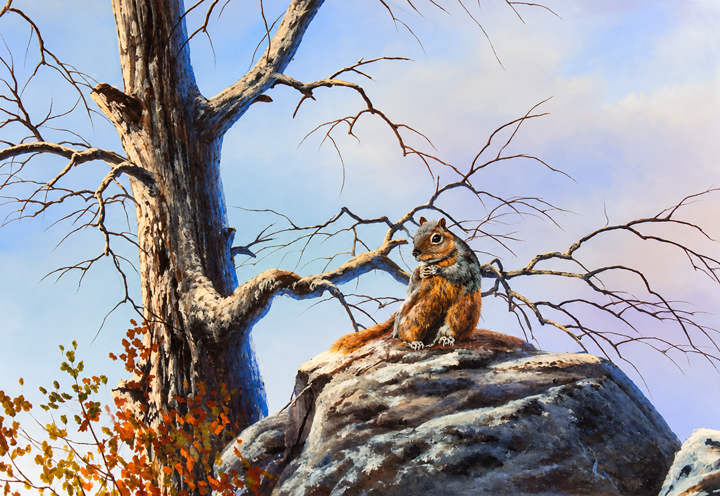 Jerry Yarnell 8841 Squirrel on Rock instructional acrylic painting video