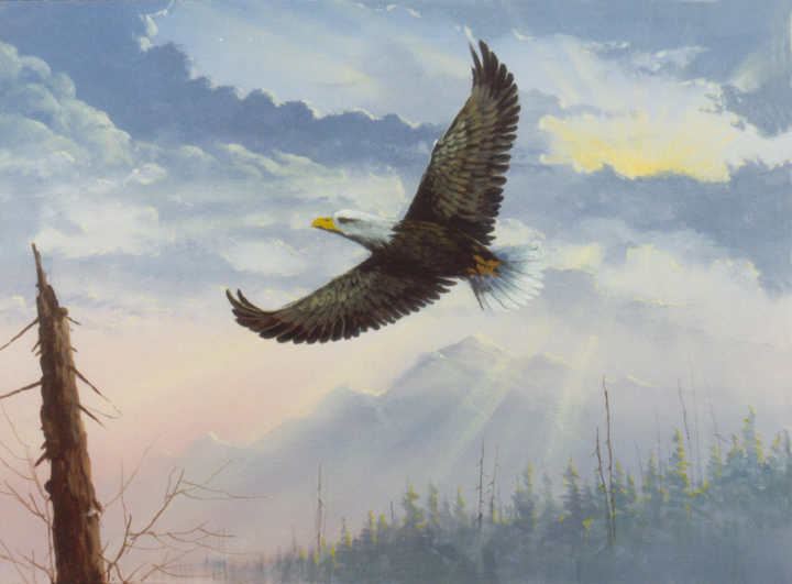 #8848 Flying Eagle