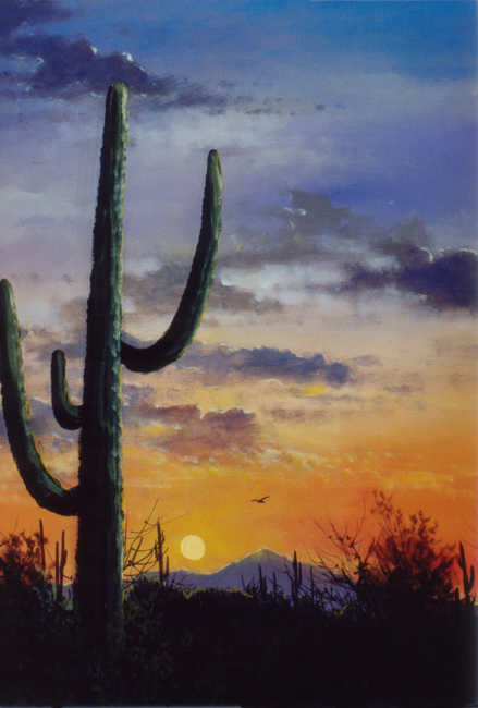 #8856 Desert Sunset
