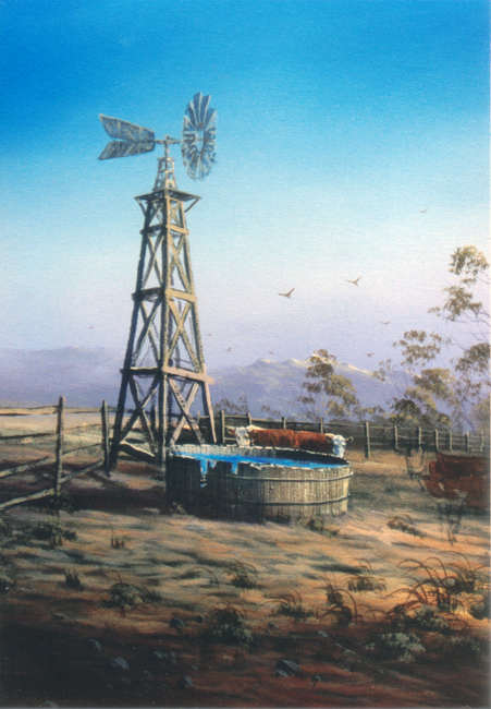#8864 Midwestern Windmill