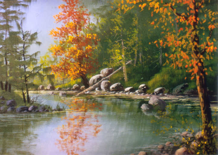 #8900 Fall Reflections in Brook