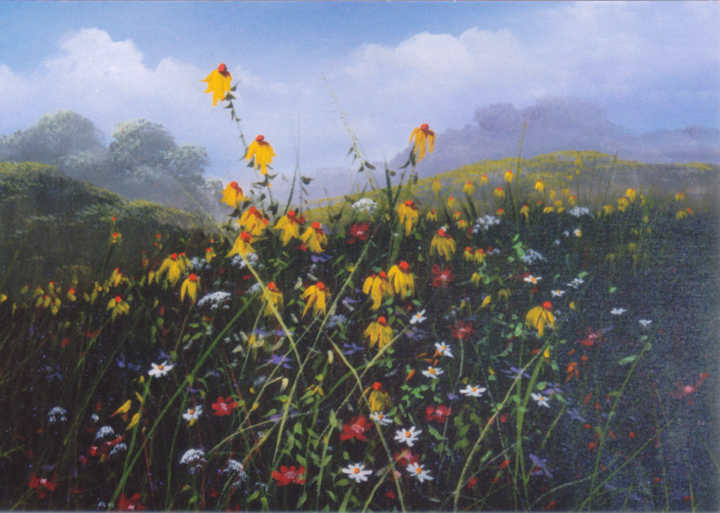 #8915 Field of Flowers