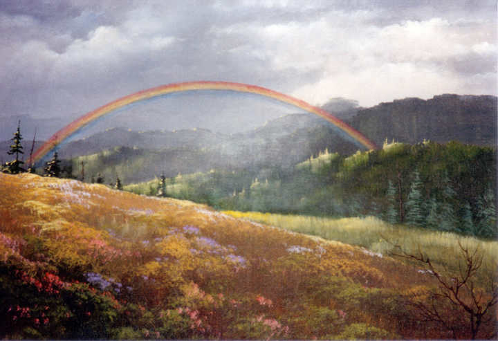 #8936 Rainbow Connection