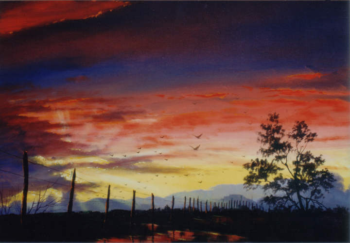 #8949 Evening Sun
