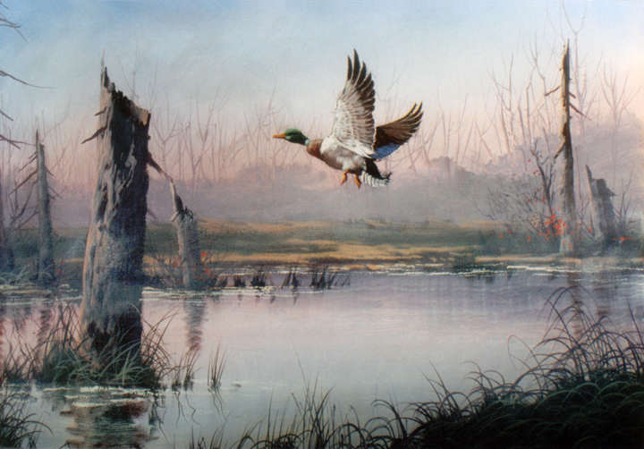 Jerry Yarnell 8972 Mallard Duck instructional acrylic painting video