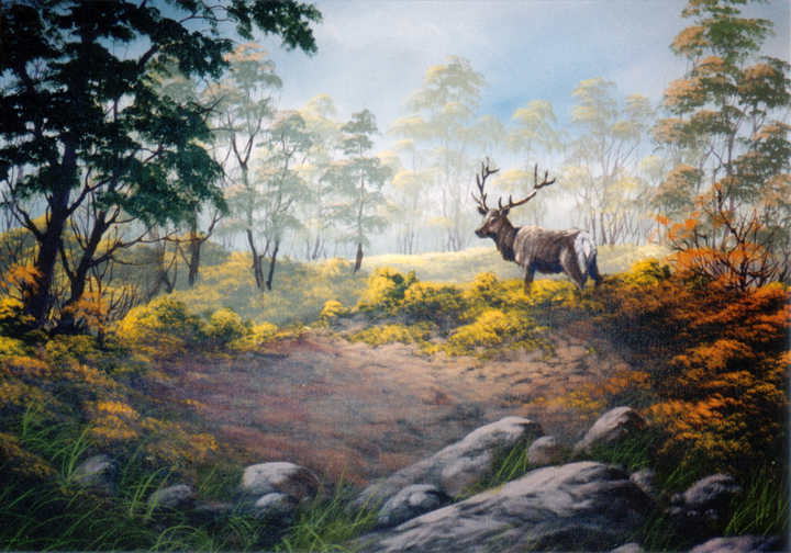 #8984 Elk in Forest