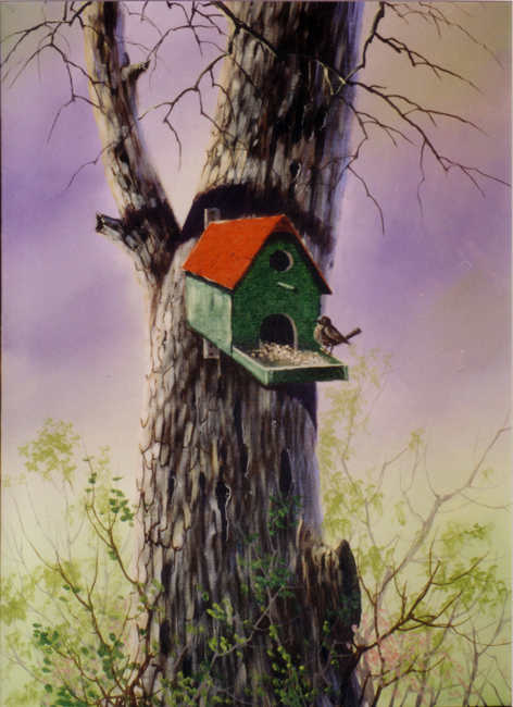 8985 Birdhouse Jerry Yarnell Birdhouse instructional painting video