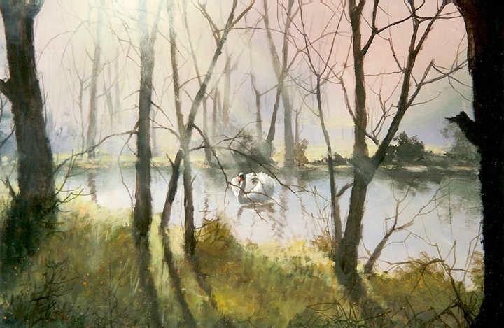 #0107 Lonely Swan
