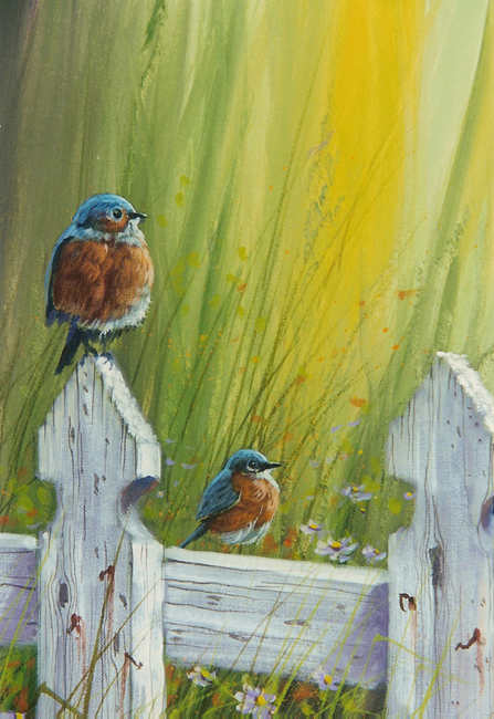 #0403 Eastern Bluebirds