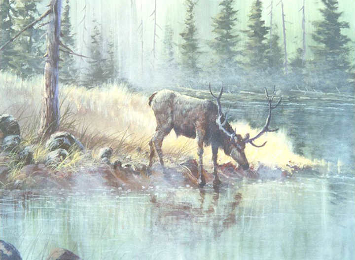 #0602 Mist on the Madison