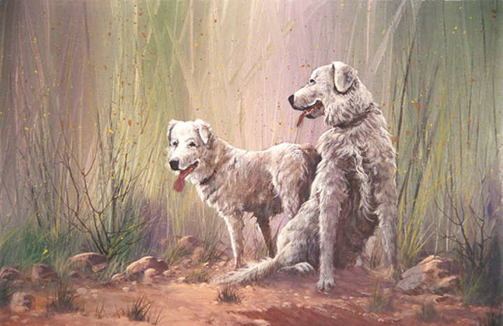 #0703 Scott's Dogs