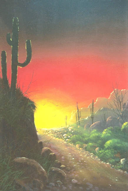 #9956 Sonora Sunrise